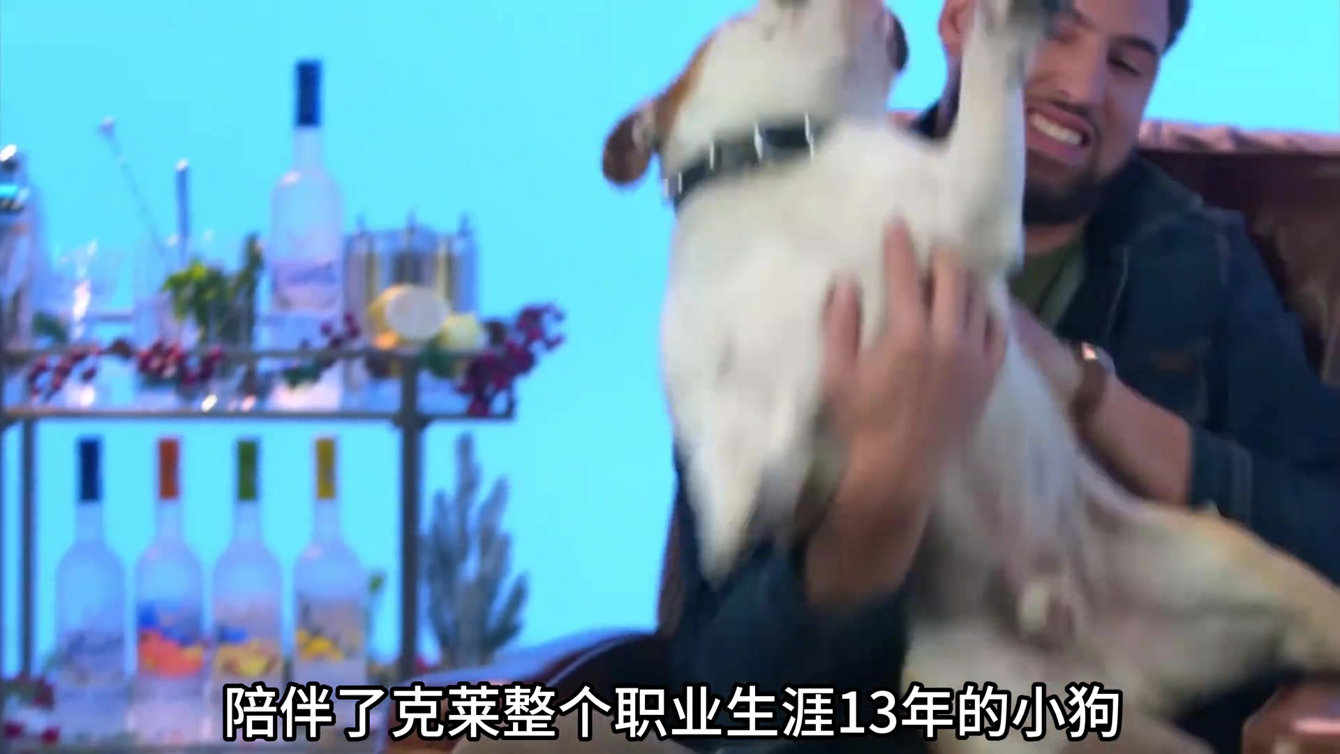 陪伴克萊13年的小狗去世了不敢相信克萊得多么傷心