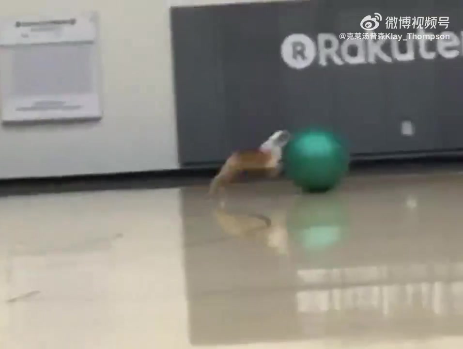 好可愛啊克萊的愛犬Rocco去世了他一定很傷心吧