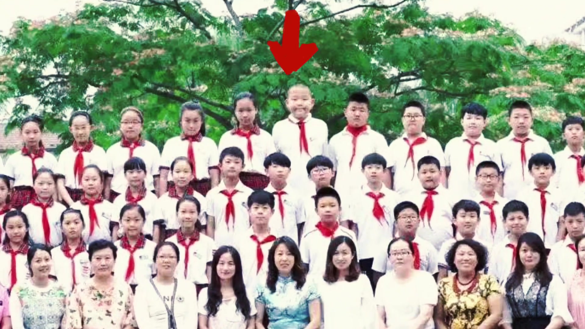 虎虎生威楊瀚森小學(xué)畢業(yè)照被網(wǎng)友翻出 穩(wěn)居C位