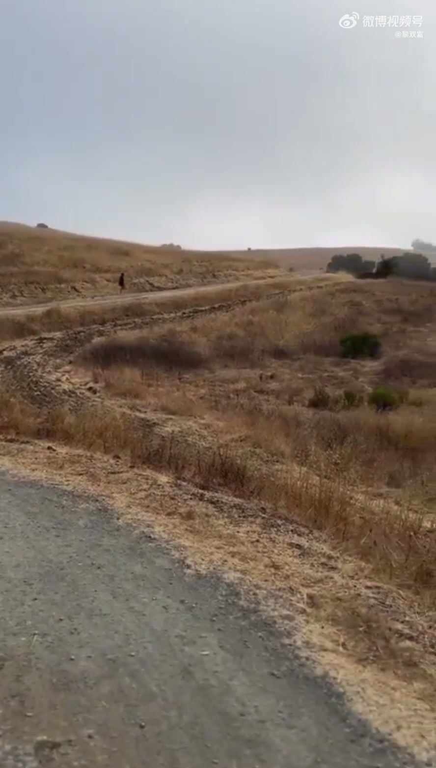 連庫(kù)里都選擇去戶外進(jìn)行輕越野訓(xùn)練 吧友們你們還不趕緊跑起來(lái)