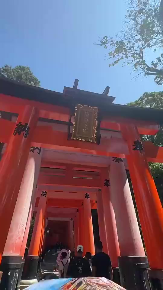 穿上旗袍的野球場(chǎng)肘姐氣質(zhì)一下子就起來(lái)了