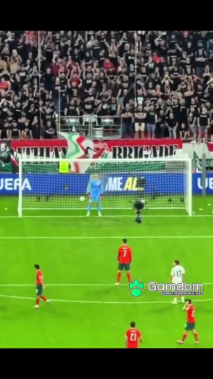 世預(yù)賽射手王C羅的Siuuu甚至蓋過了匈牙利主場(chǎng)的助威聲