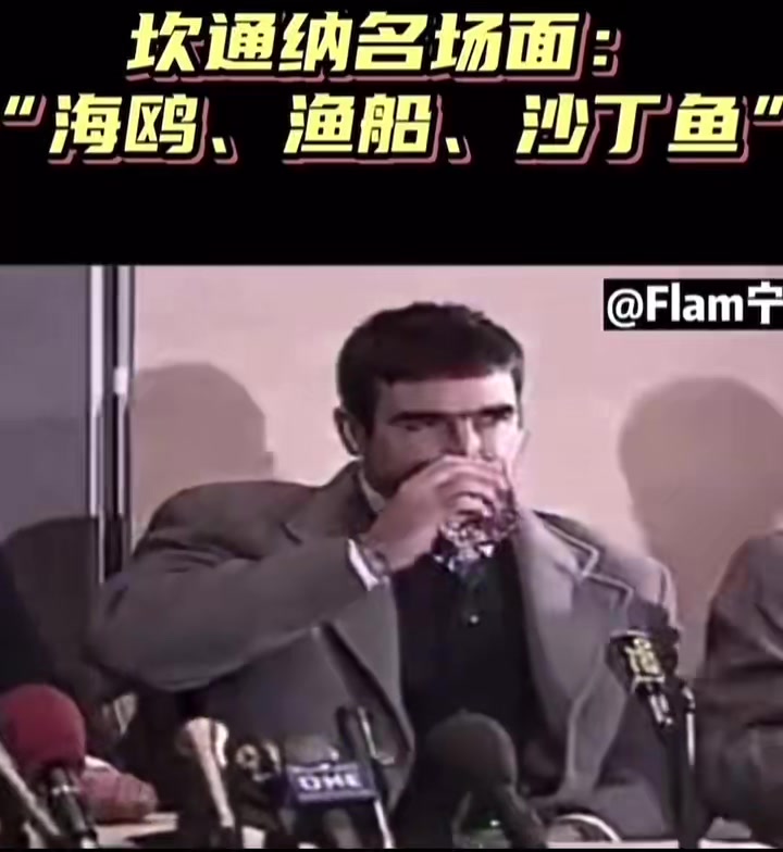 坎通納名場面海鷗漁船沙丁魚