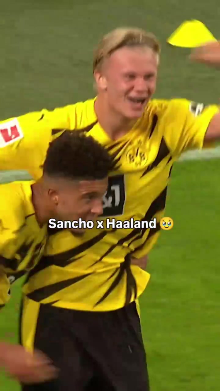 那時(shí)你們都有光明的未來桑喬和哈蘭德的多特時(shí)期碎片