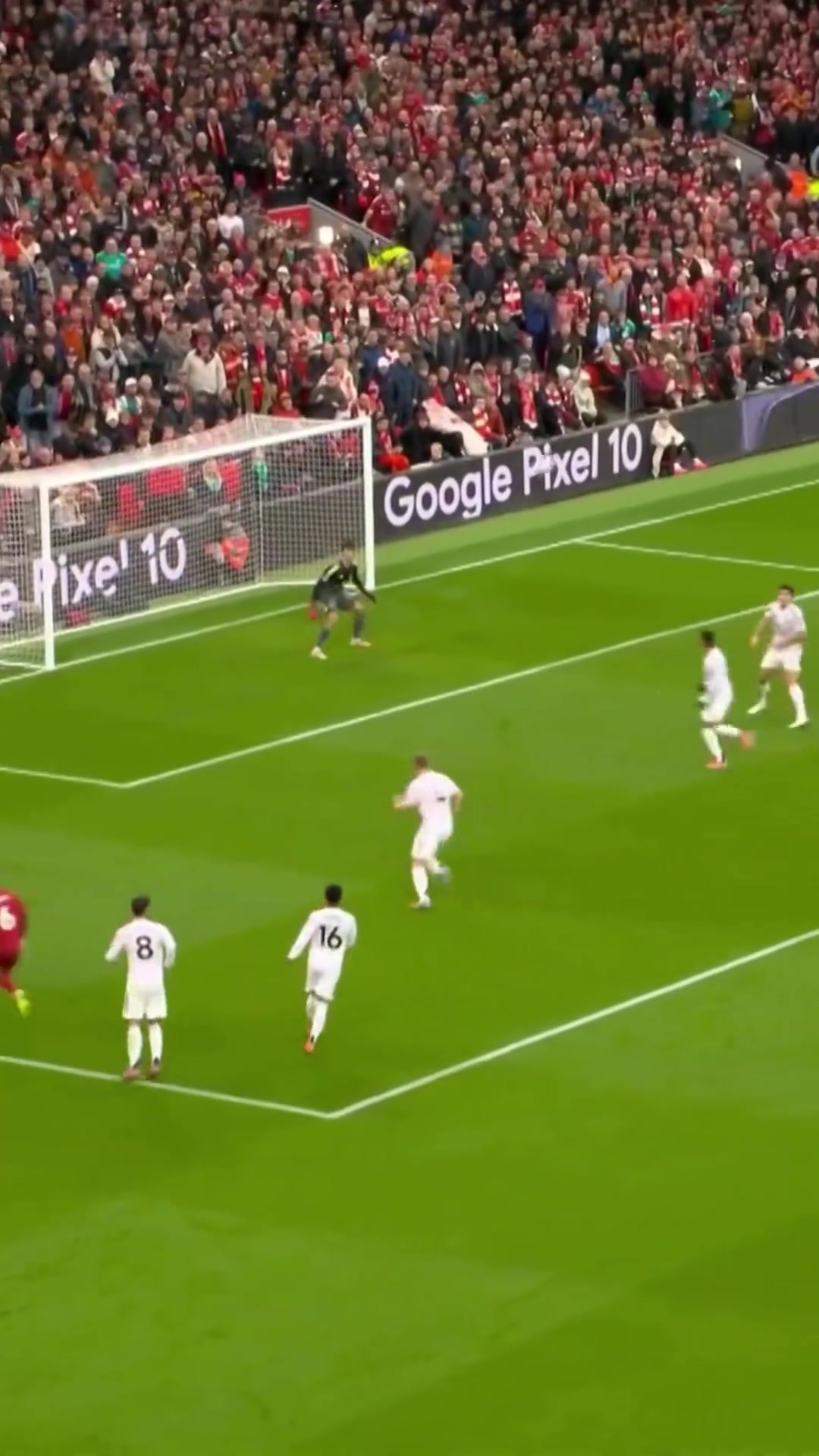 兩次首發(fā)兩場勝利舒梅切爾看了都想點(diǎn)個(gè)贊?