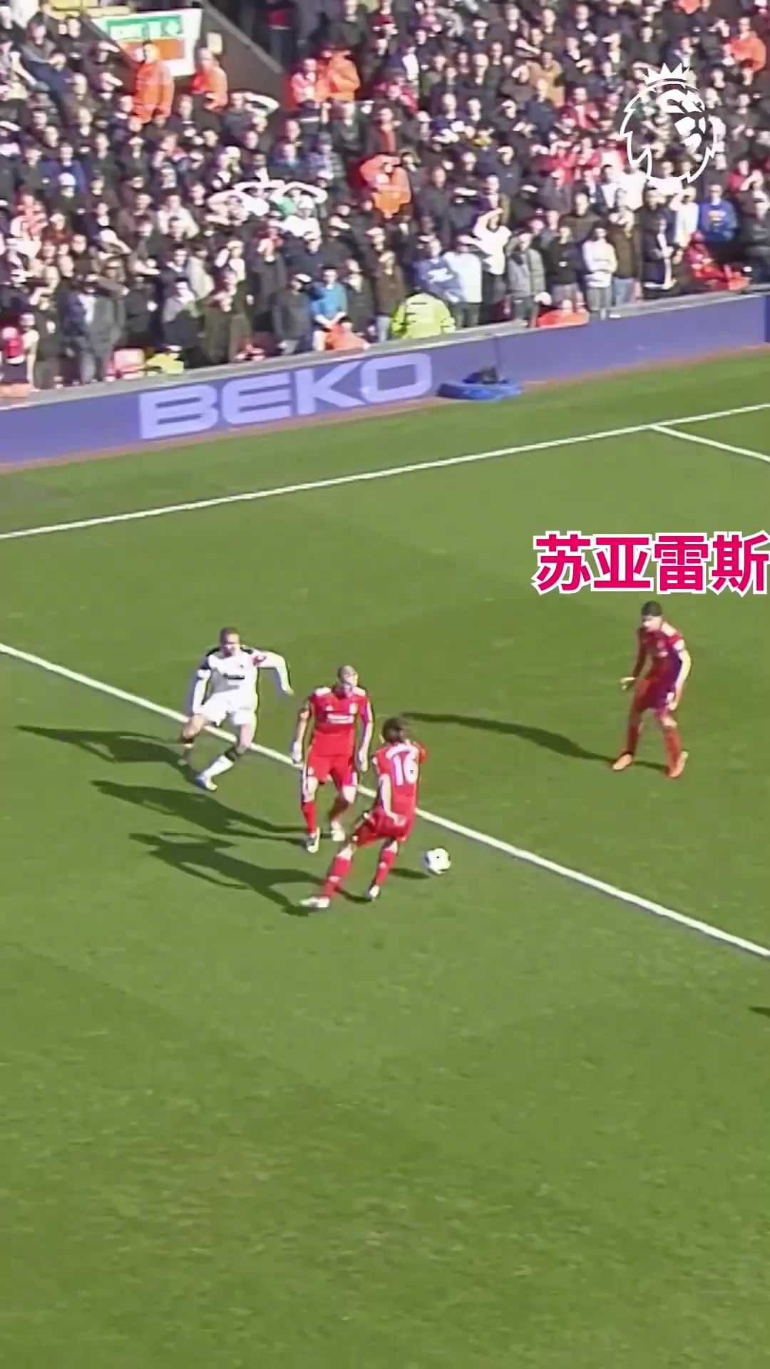 難道這就是傳說(shuō)中的游龍嗎