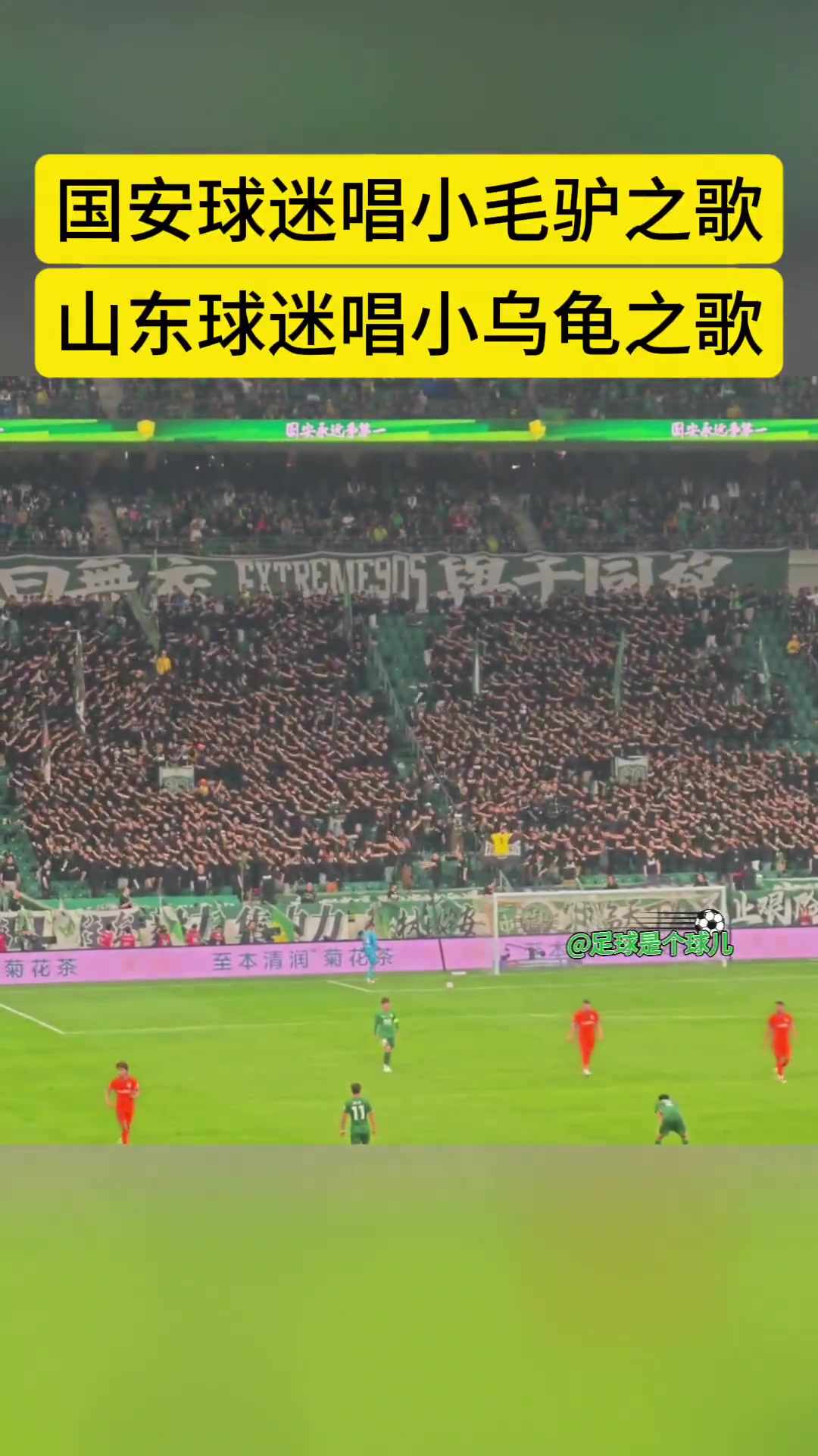 別樣拉歌國安球迷此前開火車唱小毛驢泰山球迷則唱小烏龜回敬
