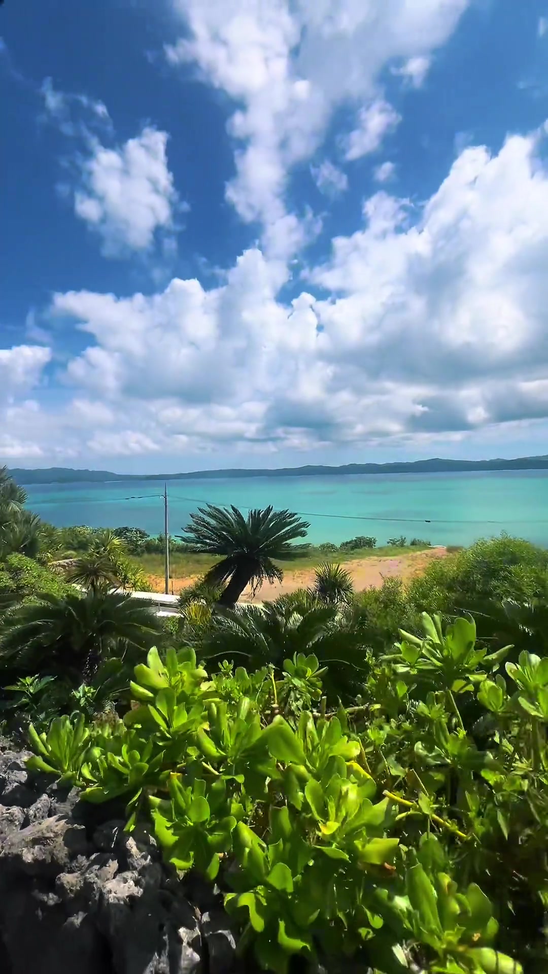 張琳芃妻子社媒發(fā)布度假視頻海底小縱隊(duì)已到達(dá)目的地