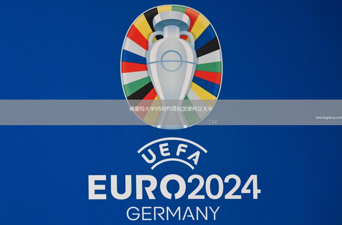 佛蒙特大學(xué)VS紐約普拉茨堡州立大學(xué)