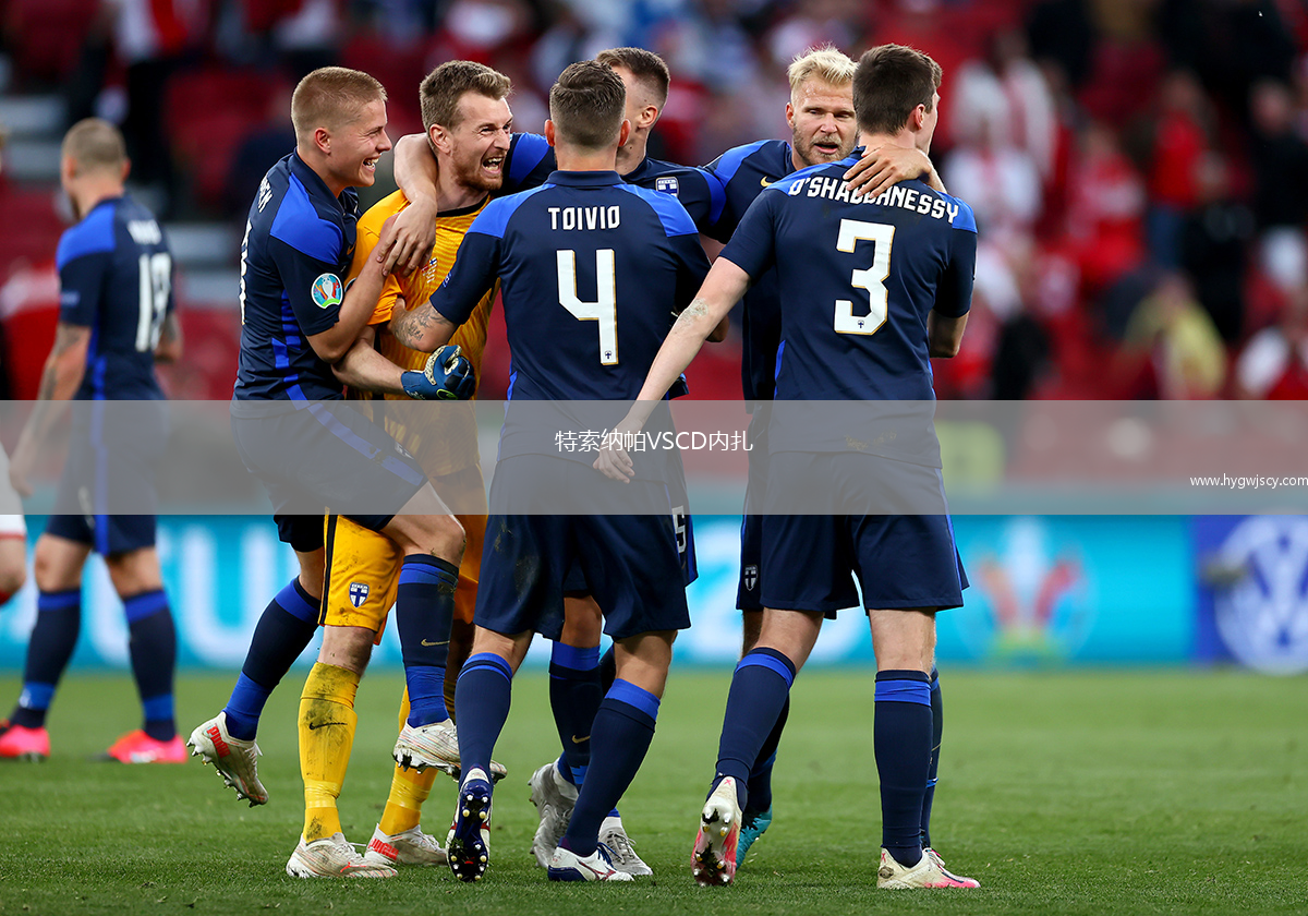 特索納帕VSCD內(nèi)扎