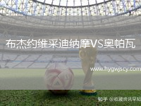 布杰約維采迪納摩VS奧帕瓦