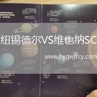 紐錫德?tīng)朧S維也納SC 紐錫德?tīng)朧S維也納SC