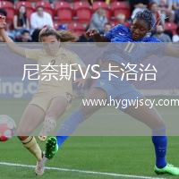 尼奈斯VS卡洛治