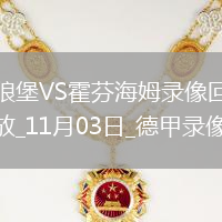 11月03日德甲第9輪沃爾夫斯堡vs霍芬海姆全場(chǎng)錄像