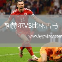 勒赫爾VS比林古馬 勒赫爾VS比林古馬