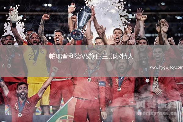 帕地普利德VS施白蘭凱爾特人