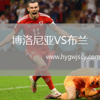 博洛尼亞VS布蘭