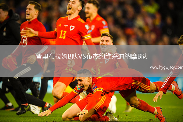 普里布拉姆B隊VS布杰約維采迪納摩B隊