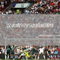 漢諾威96VS達姆施塔特