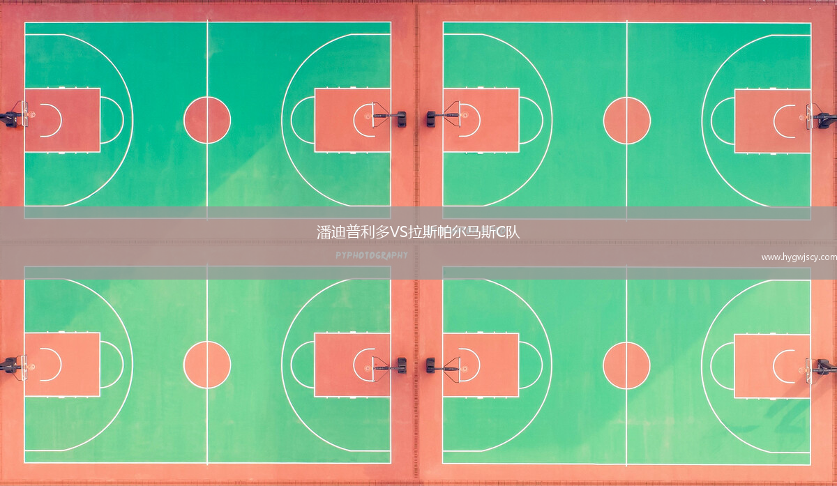 潘迪普利多VS拉斯帕爾馬斯C隊(duì)