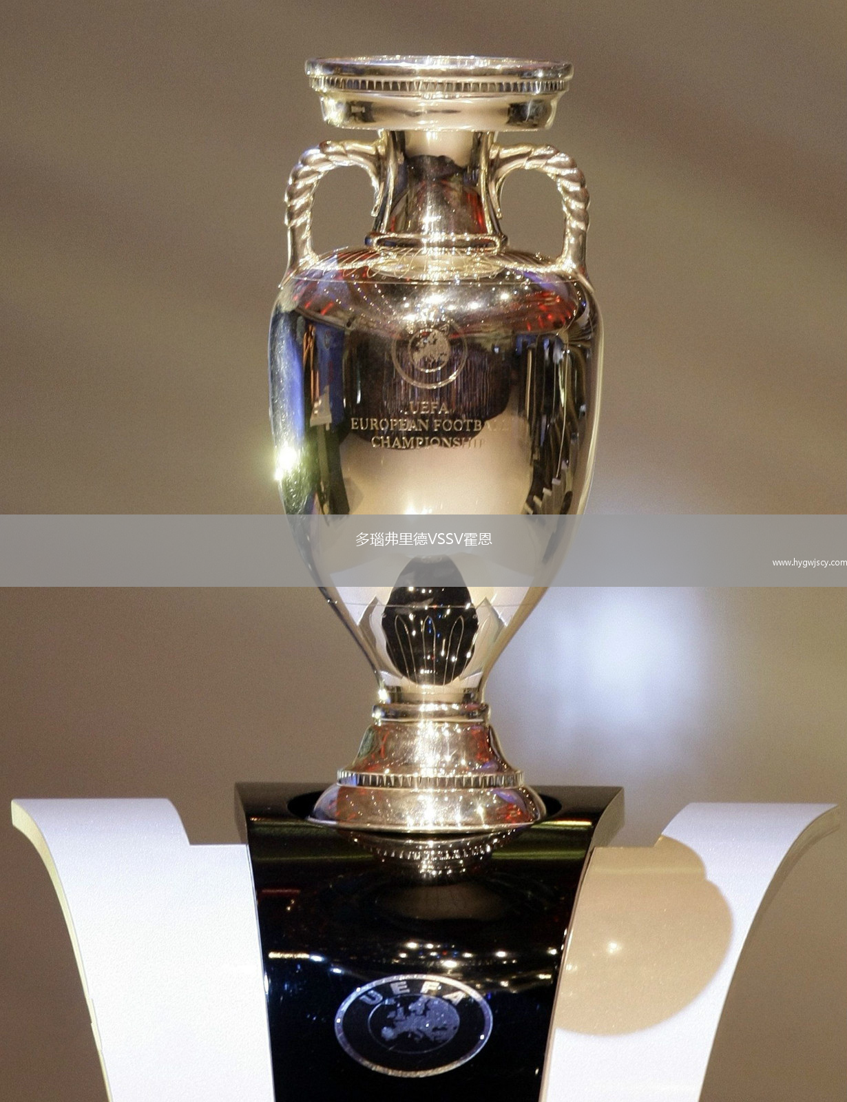 多瑙弗里德VSSV霍恩 多瑙弗里德VSSV霍恩