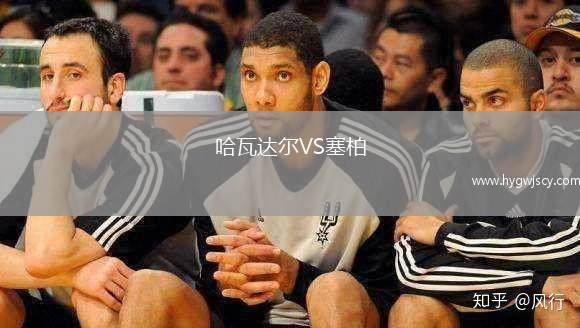 哈瓦達(dá)爾VS塞柏