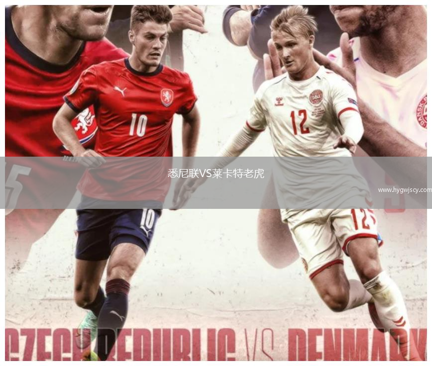 悉尼聯(lián)VS萊卡特老虎