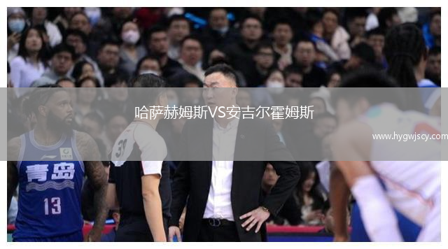 哈薩赫姆斯VS安吉爾霍姆斯