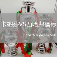 卡納芬VS西哈弗福德