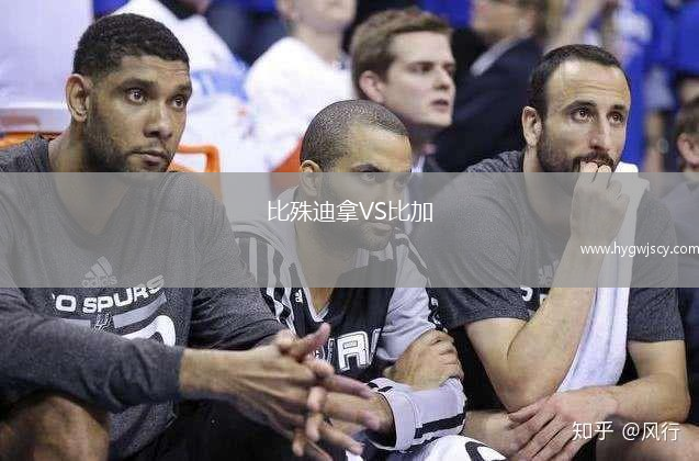 比殊迪拿VS比加