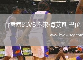 帕德博恩VS不來(lái)梅艾斯巴倫