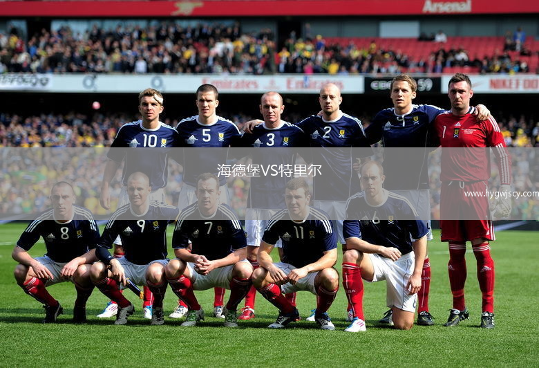 海德堡VS特里爾