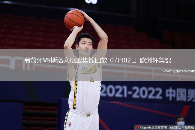 07月02日歐洲杯1/8決賽葡萄牙vs斯洛文尼亞精彩片段