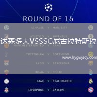 達森多夫VSSSG尼古拉特斯拉