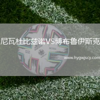 尼瓦杜比茲諾VS博布魯伊斯克