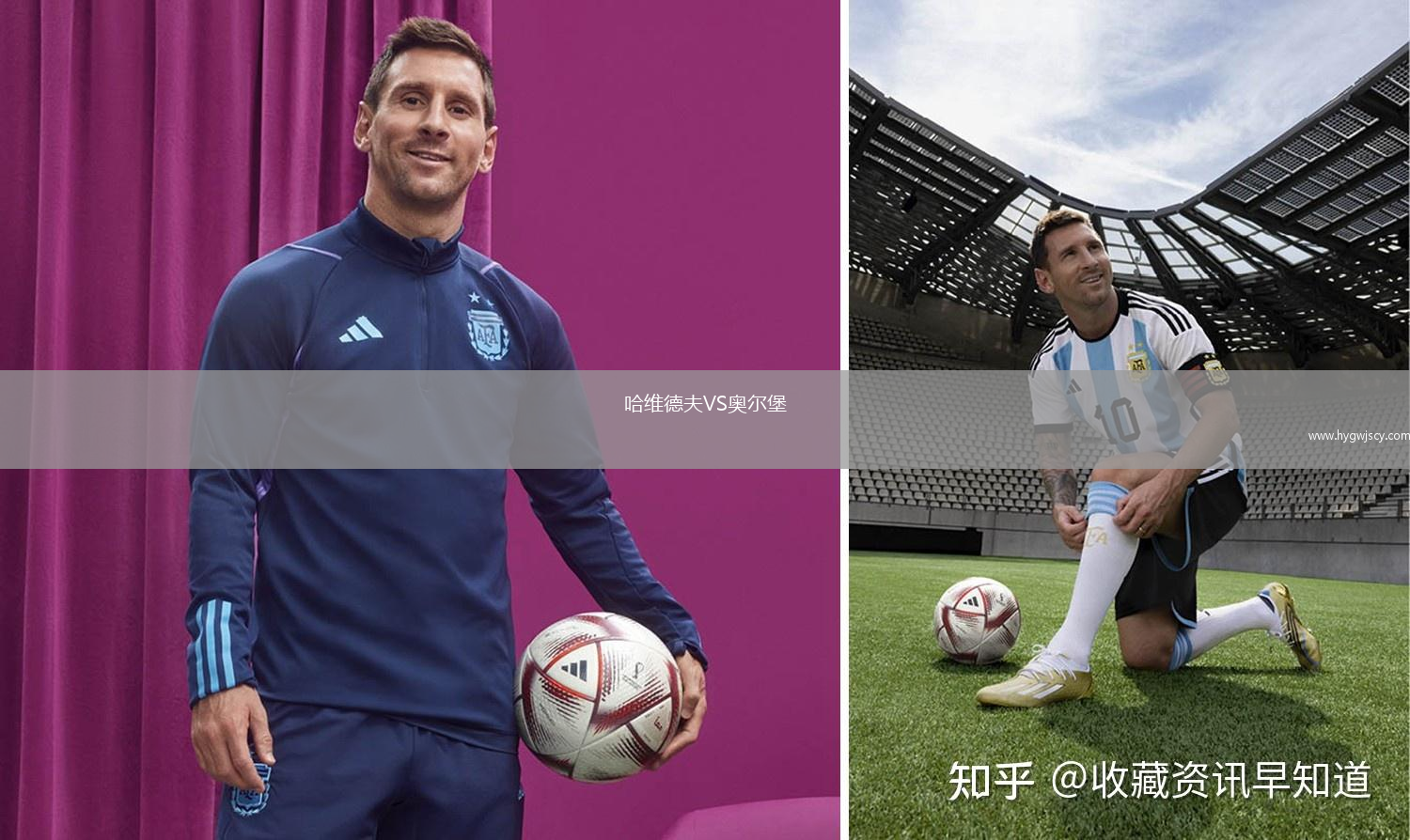 哈維德夫VS奧爾堡