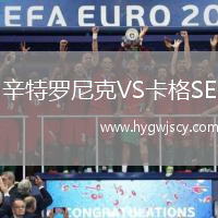 辛特羅尼克VS卡格SE