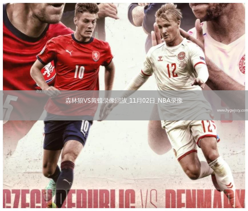 2025年11月2日NBA常規(guī)賽森林狼vs黃蜂