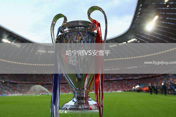 哈寧厄VS安雪平
