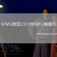 SPVG波茨1919VSVFL維查爾