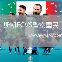 斯凱FCVS警察國(guó)民