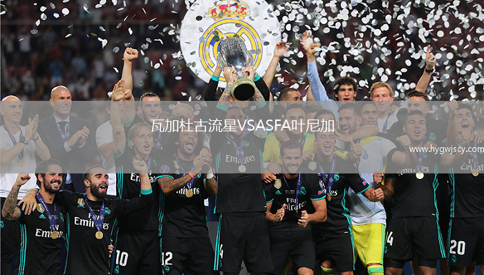 瓦加杜古流星VSASFA葉尼加