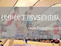 伏伊伏丁那VS自由隊(duì)