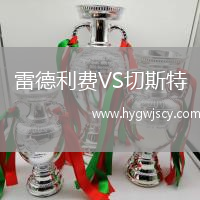 雷德利費(fèi)VS切斯特