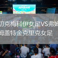 切克梅科伊女足VS弗姆蓋特金克里克女足