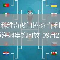 德甲-武什科維奇破門拉揚(yáng)-菲利普建功漢堡2-1海登海姆