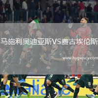 馬施利奧迪亞斯VS費(fèi)古埃倫斯