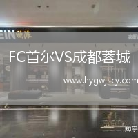 FC首爾VS成都蓉城