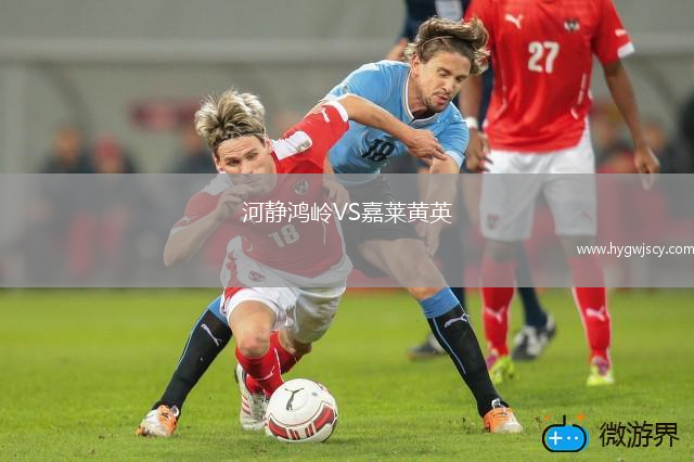 河靜鴻嶺VS嘉萊黃英